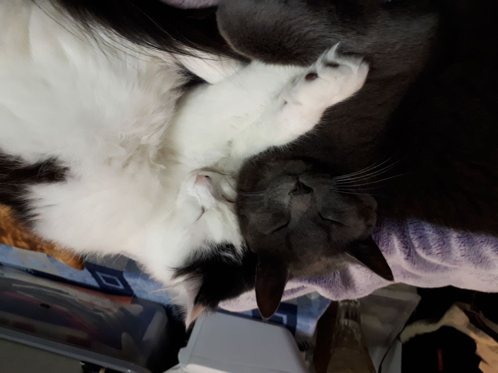 Oops sorry it's upside down