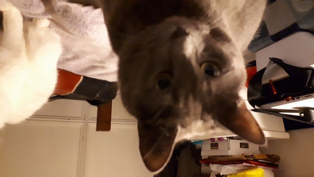 Oops upside down Mr A