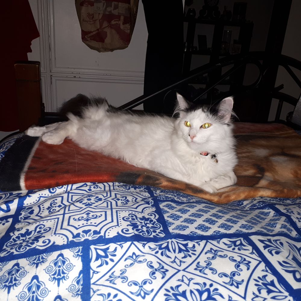 2018-11-02 21.47.26.jpg