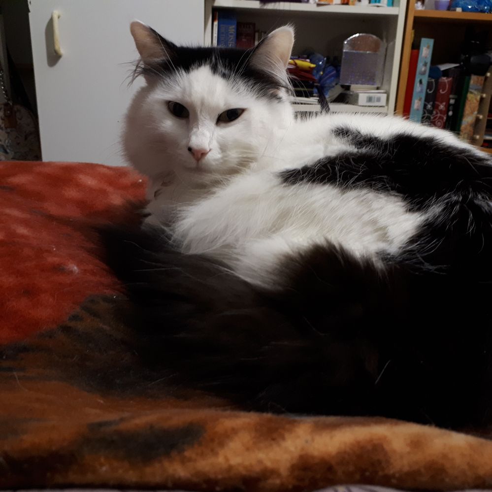 20190511_201058.jpg