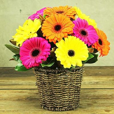 fresh-gerbera-basket.jpg